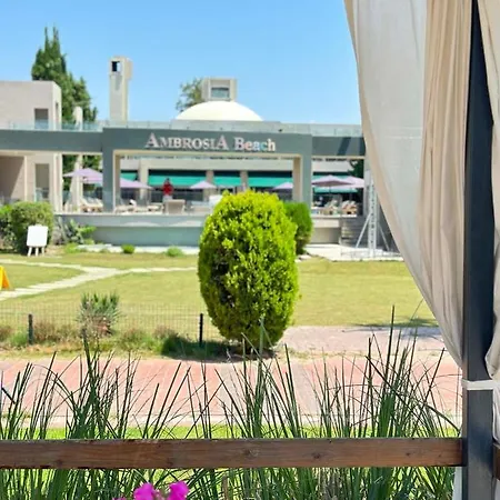Ambrosia & מלון 5*
