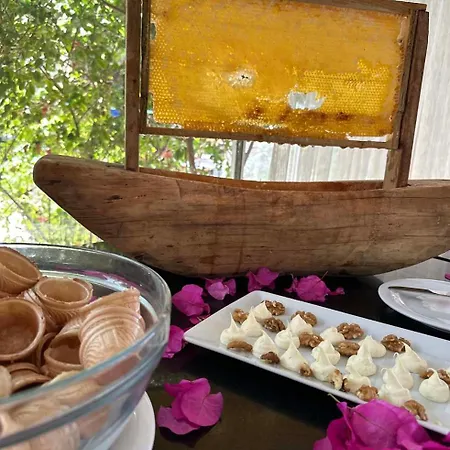 Szálloda Ambrosia &