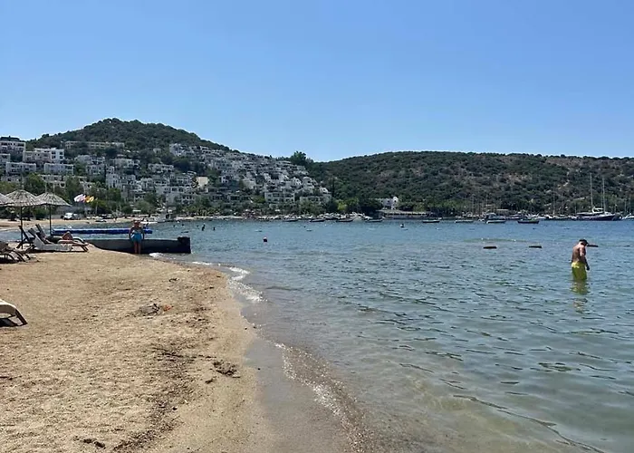 Ambrosia & 5* ביטז